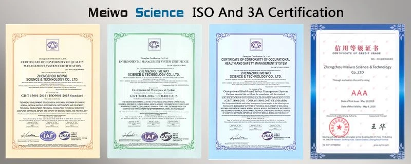 ISO